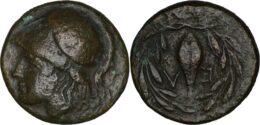 791 Aiolis Elaia Æ grain-seed within olive-wreath