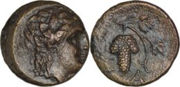 798 Aeolis, Temnos, 3rd century BC. Æ - Dionysos / Grape bunch