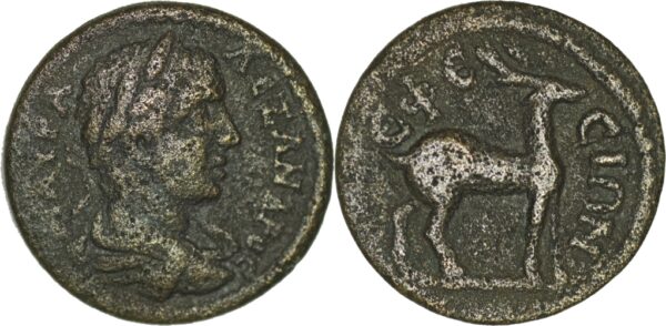 Severus Alexander AD 222-235. Ionia. Ephesos. AE.