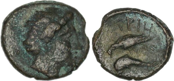 Moesia. Istros (Circa 280-200 BC) Æ. sea eagle left, grasping dolphin