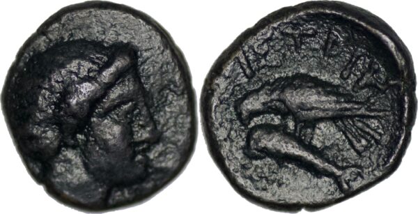Moesia. Istros (Circa 280-200 BC) Æ. sea eagle left, grasping dolphin