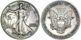 USA. American Silver Eagle Dollar. 1989