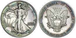 USA. American Silver Eagle Dollar. 1989