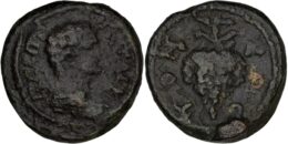 Moesia Inferior. Tomis. Elagabalus – Severus Alexander (AD 218-235). Æ